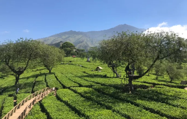 blog_10